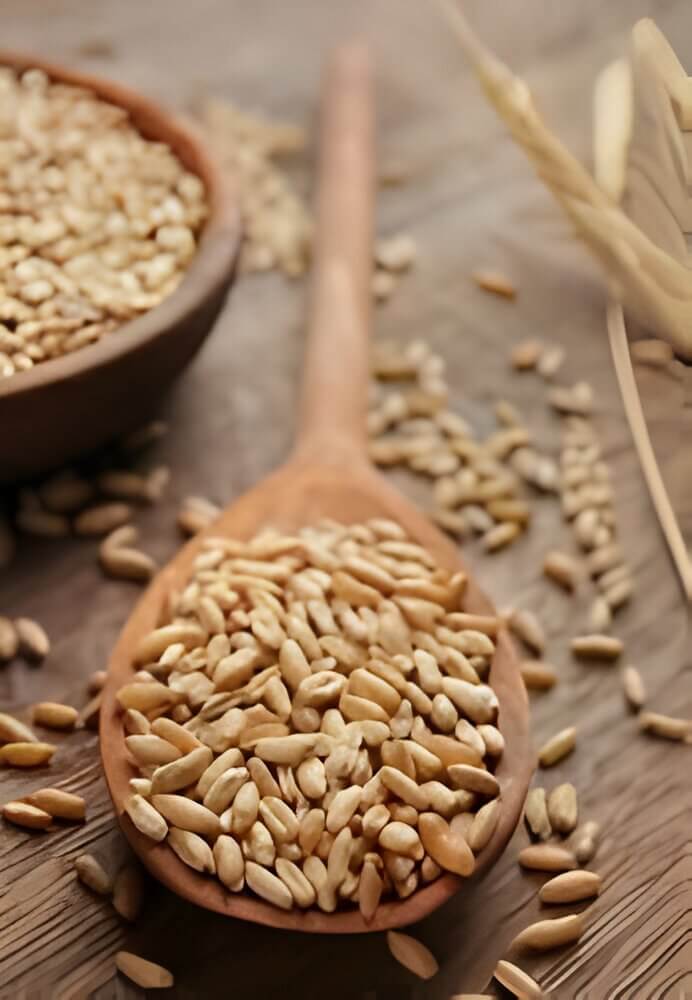 Wooden spoon overflowing with farro grains