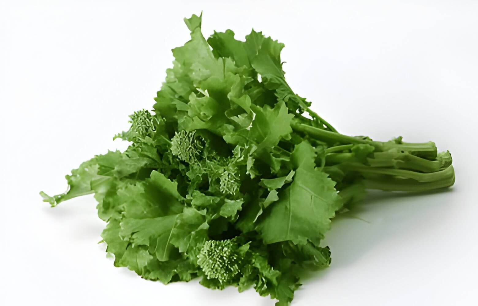 Bunch of rapini florets with bright green leaves.