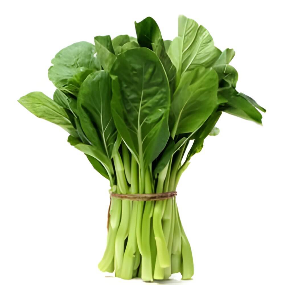 Close-up of Chinese broccoli florets and stalks.